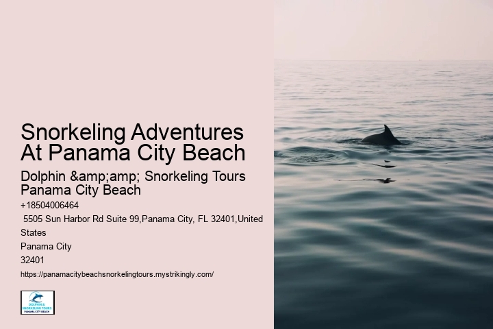 Panama City Beach Beach Snorkeling Tour