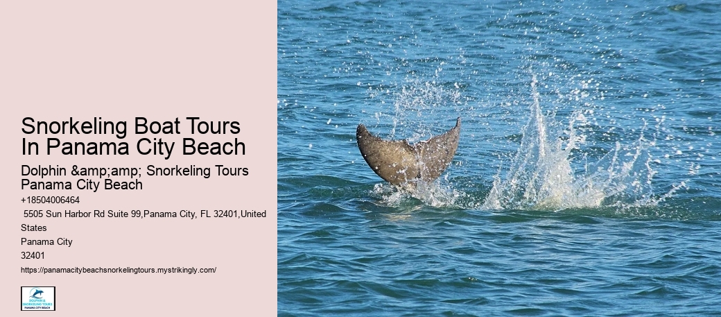Panama City Beach Snorkeling Tour Walking