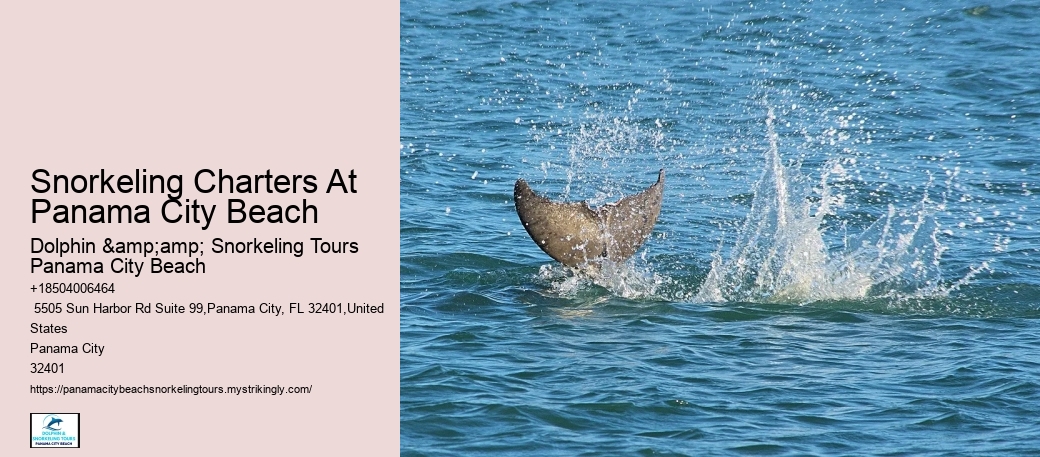 Panama City Beach Snorkeling Tours Lahaina