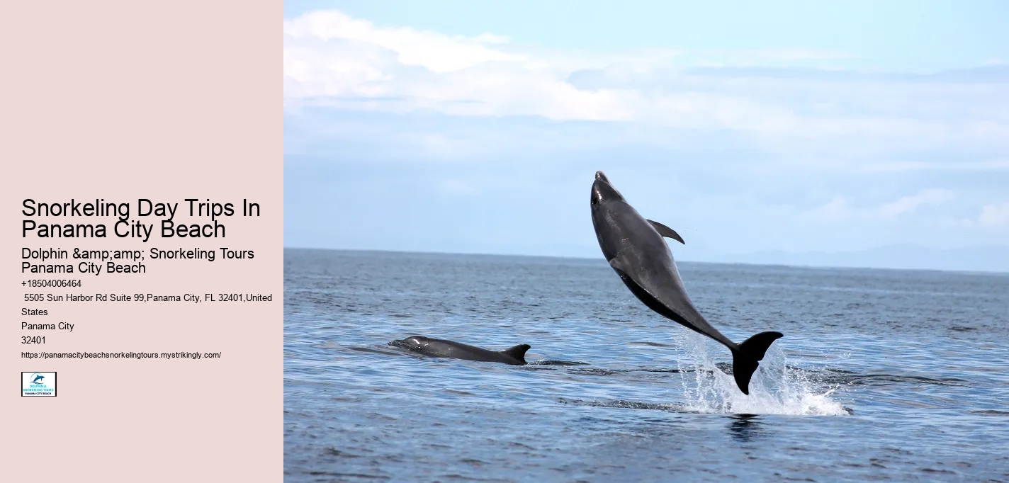 Snorkeling Day Trips In Panama City Beach