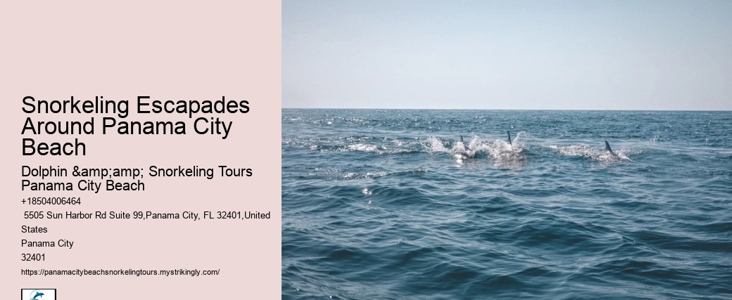 Panama City Beach Snorkeling Tours Rules