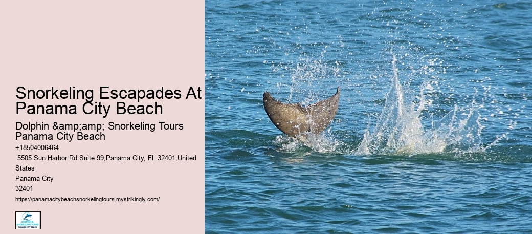 Panama City Beach Snorkeling Tours Jacksonville Fl