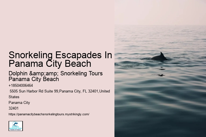 Panama City Beach Snorkeling Tours Panama City Beach Beach Fl