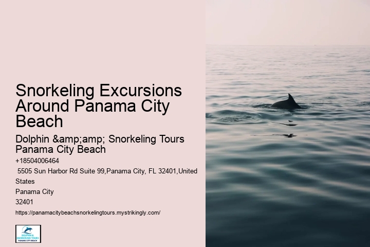 Pcb Snorkel Exploration Experiences