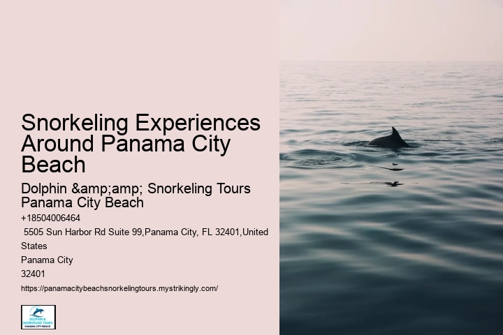 Panama City Beach Snorkeling Tours Washington