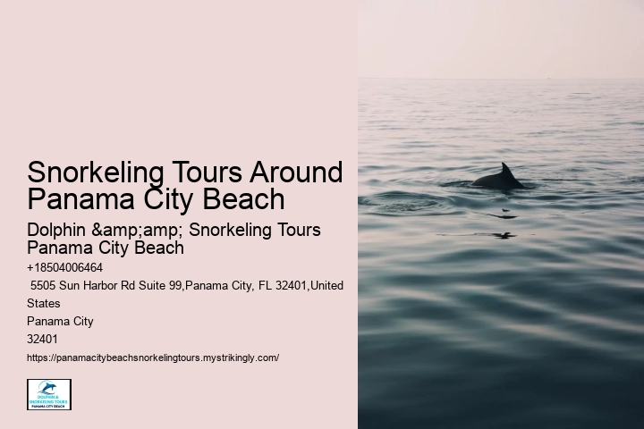 Panama City Beach Snorkeling Tours West Maui