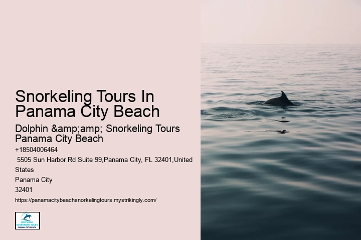 Panama City Beach Snorkel Discovery Tours