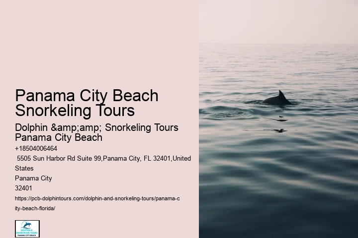 Panama City Beach Snorkeling Tours Agency