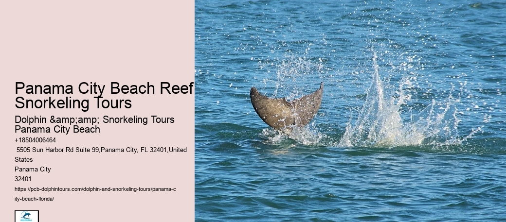 Panama City Beach Snorkel Exploration Tours