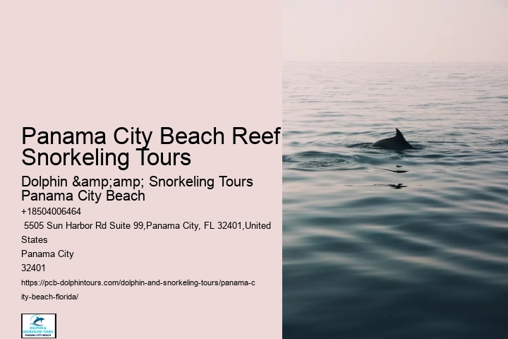 Panama City Beach Snorkeling Tours Rules