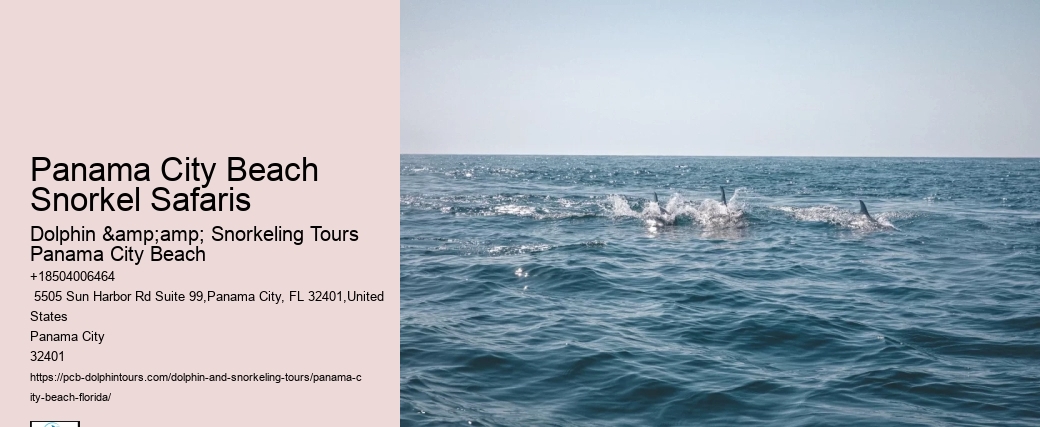 Panama City Beach Snorkel Safaris