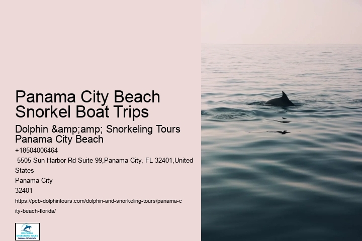 Panama City Beach Snorkeling Tours Marketing