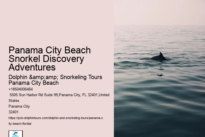 Panama City Beach Snorkeling Tours Canal