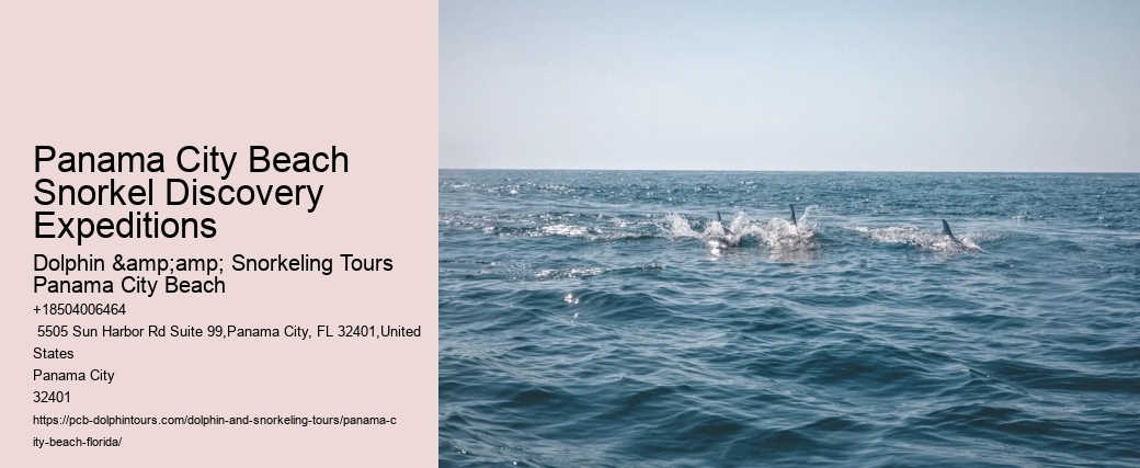 Panama City Beach Snorkeling Tours Trailers For Sale