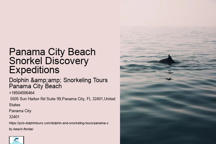 Snorkeling Tours In Panama City Beach Beach Fl