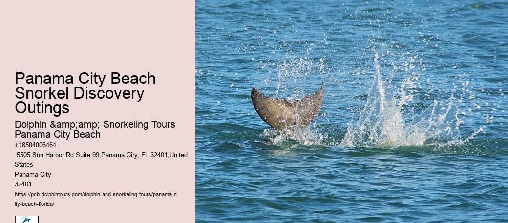 Panama City Beach Snorkeling Tours Hill