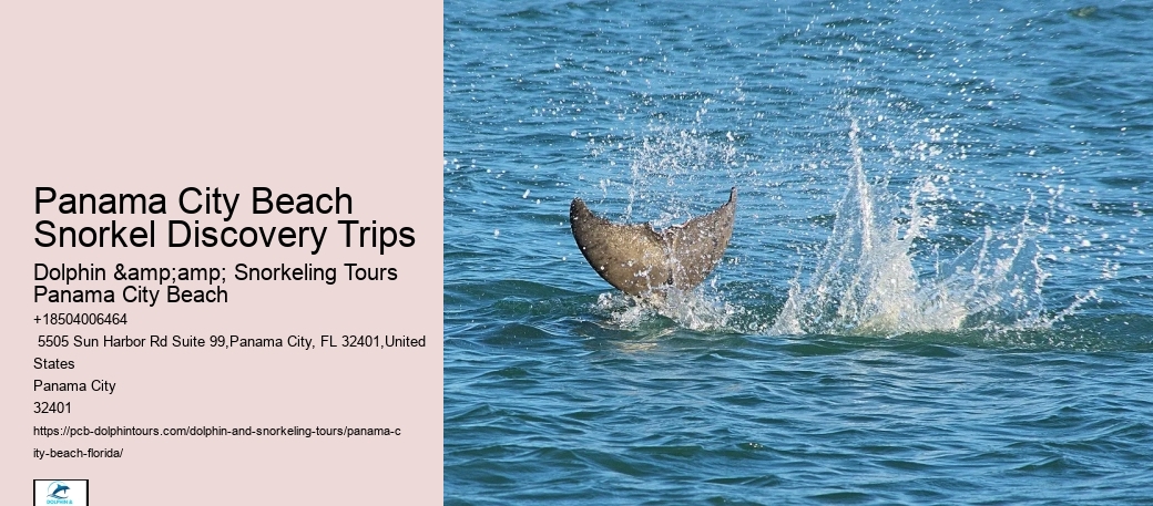 Snorkeling Voyages In Panama City Beach