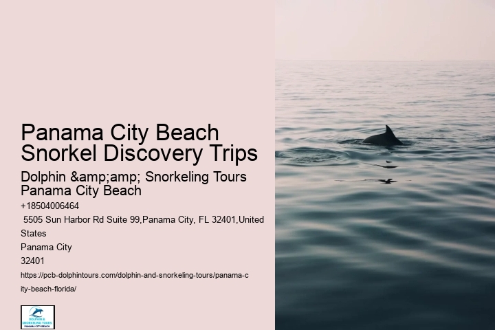 Panama City Beach Snorkeling Tours 300