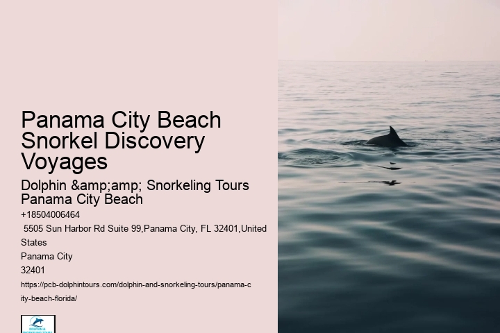Panama City Beach Snorkeling Tours Savage Valley