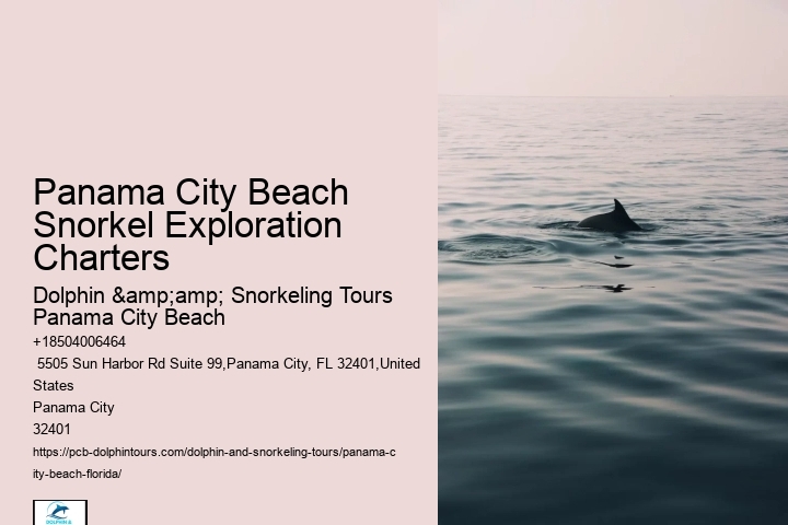 Panama City Beach Snorkeling Tours Dana Point