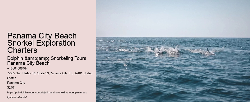 Panama City Beach Snorkeling Tours Jeep