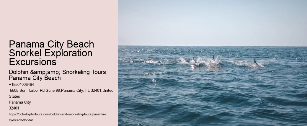 Snorkeling Experiences Departing From Panama City Beach