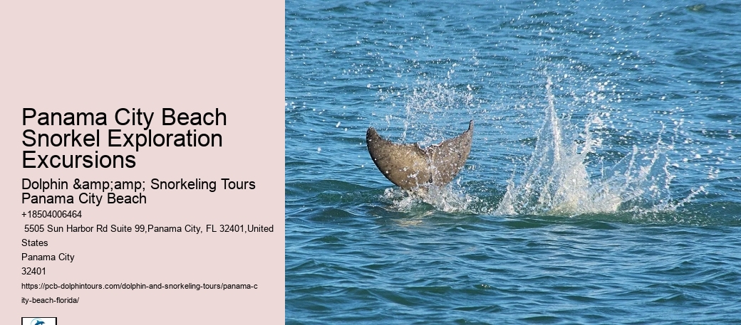 Panama City Beach Underwater Tours