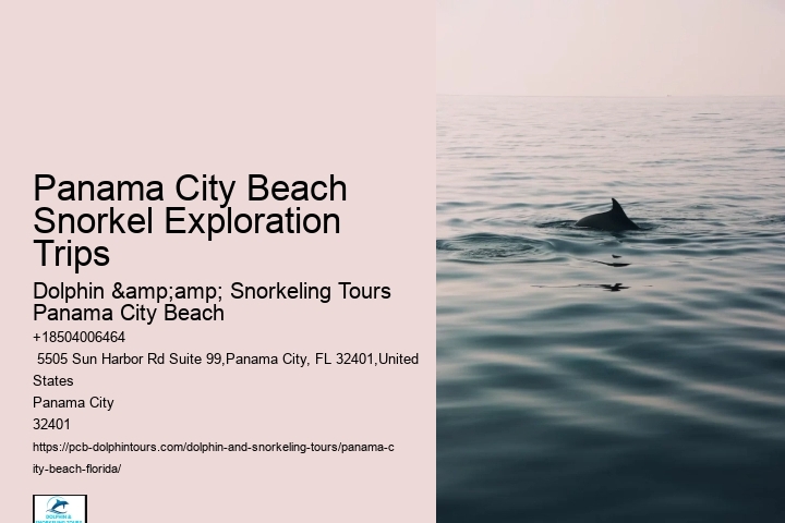 Snorkeling Boat Tours In Panama City Beach