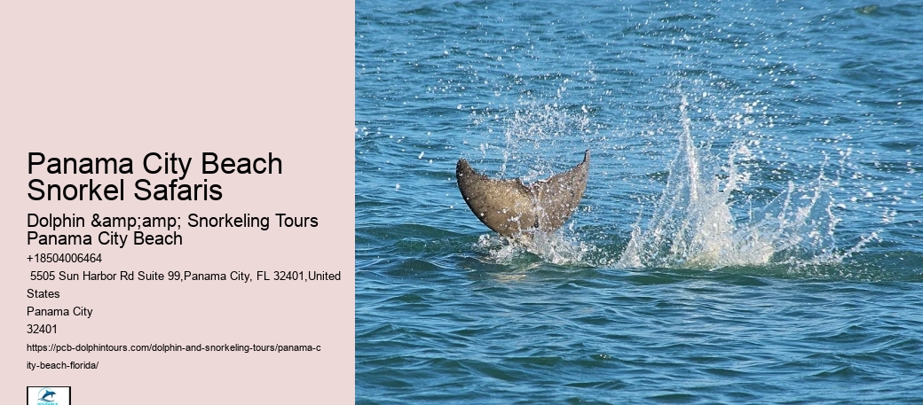 Panama City Beach Snorkeling Tours Prices