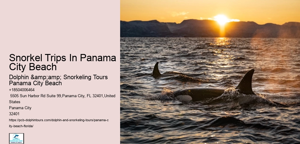 Snorkeling Experiences Departing From Panama City Beach