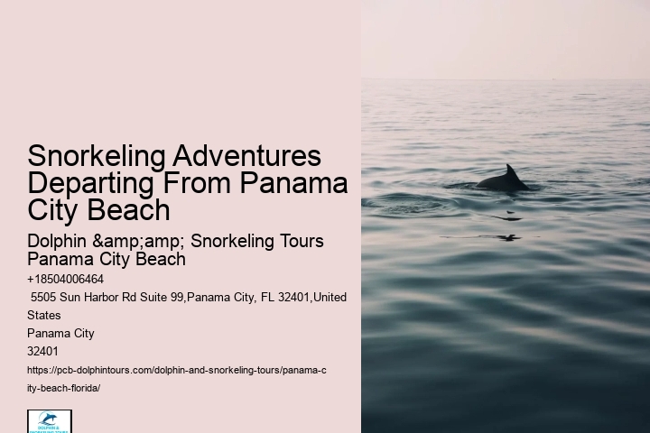 Snorkeling Escapades Departing From Panama City Beach