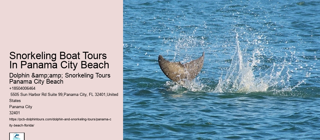 Panama City Beach Snorkel Boat Outings