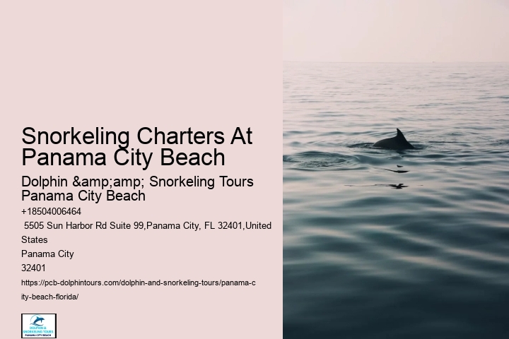 Snorkeling Charters Departing From Panama City Beach