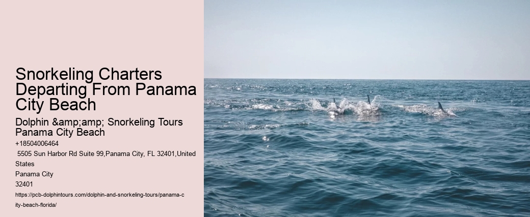 Snorkeling Expeditions In Panama City Beach