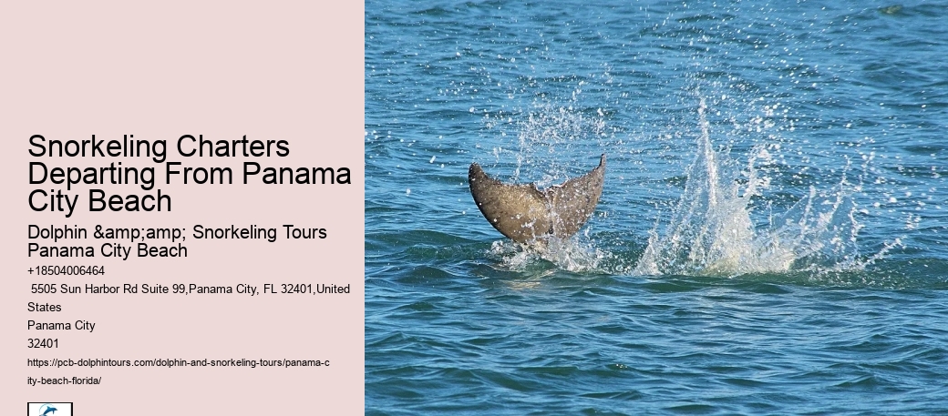 Panama City Beach Snorkeling Tours United