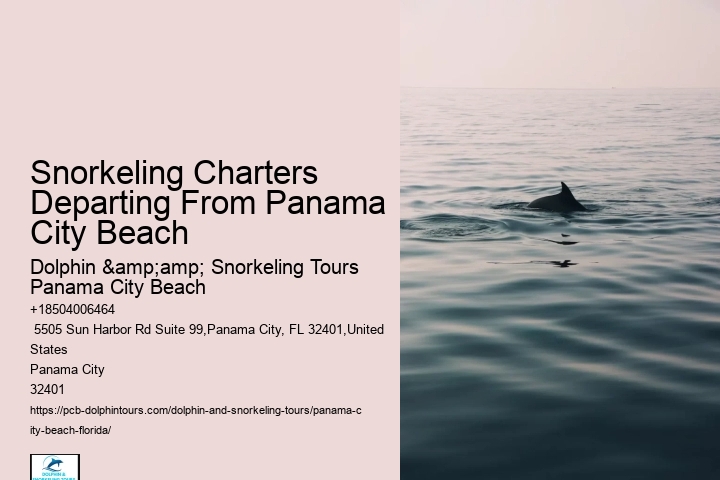 Panama City Beach Snorkeling Tours Hanalei