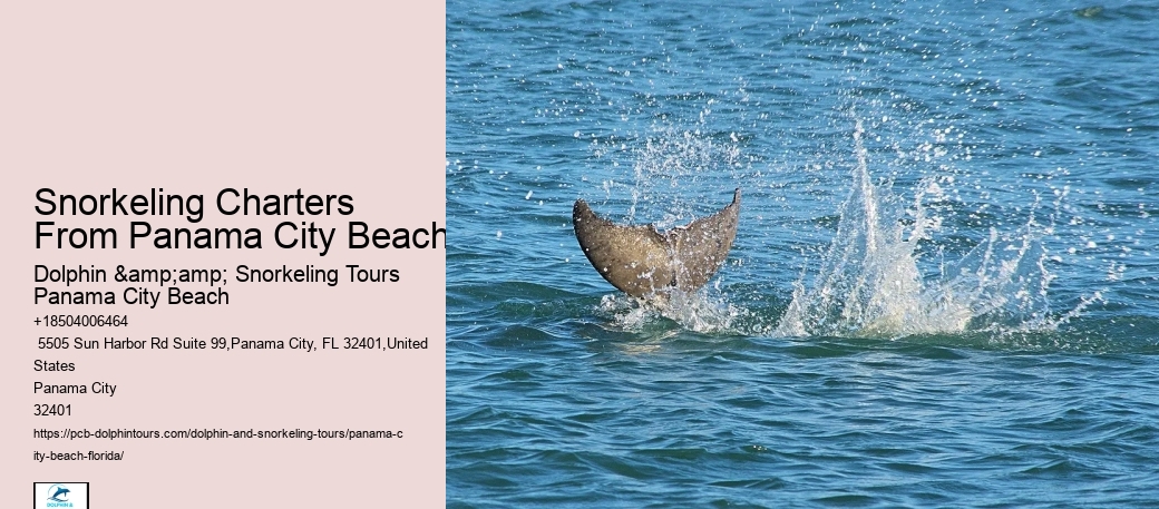 Panama City Beach Snorkeling Tours Electric