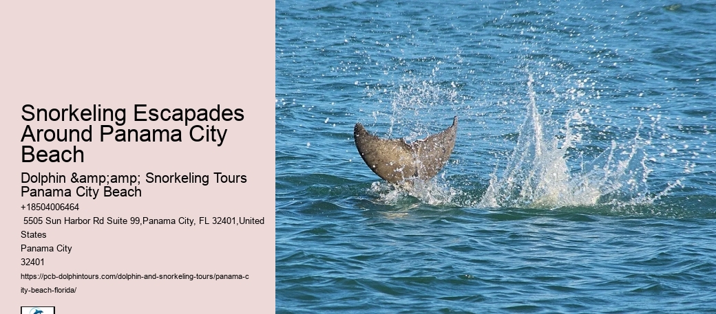 Panama City Beach Snorkel Exploration Trips