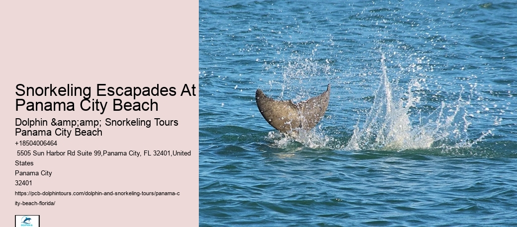 Panama City Beach Snorkeling Tours Events