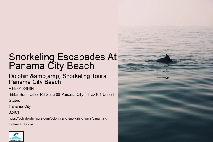 Panama City Beach Snorkel Exploration Outings