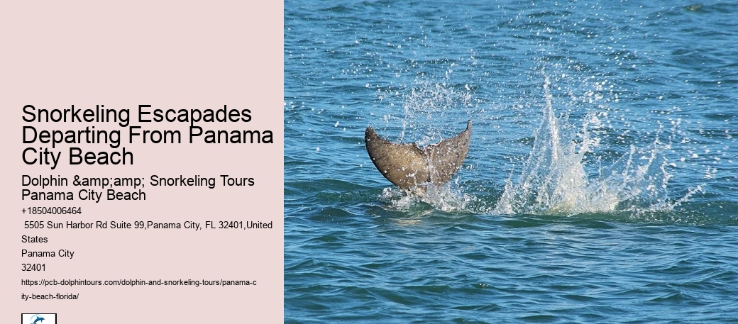 Panama City Beach Snorkeling Tours Warren