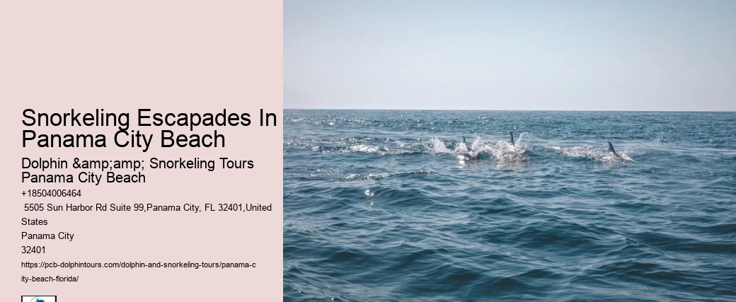 Snorkeling Escapades In Panama City Beach