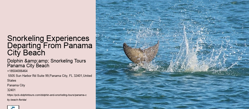 What Marine Ecosystems Are Explored During Snorkeling Tours In Panama City Beach