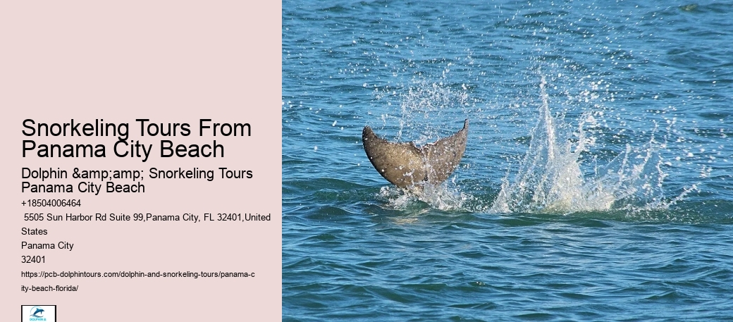 Panama City Beach Snorkeling Excursions