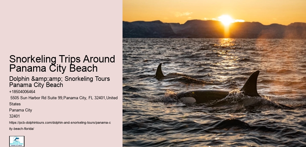 Panama City Beach Snorkeling Tours 9/11
