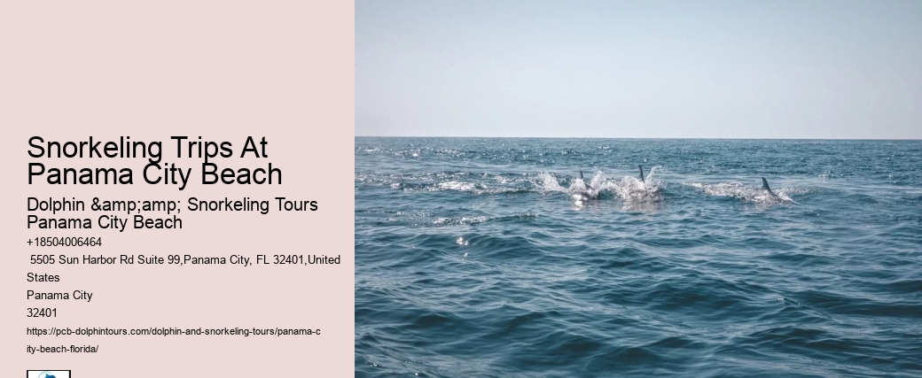 Snorkeling Trips At Panama City Beach