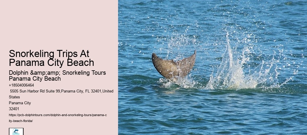 Snorkel Excursions In Panama City Beach