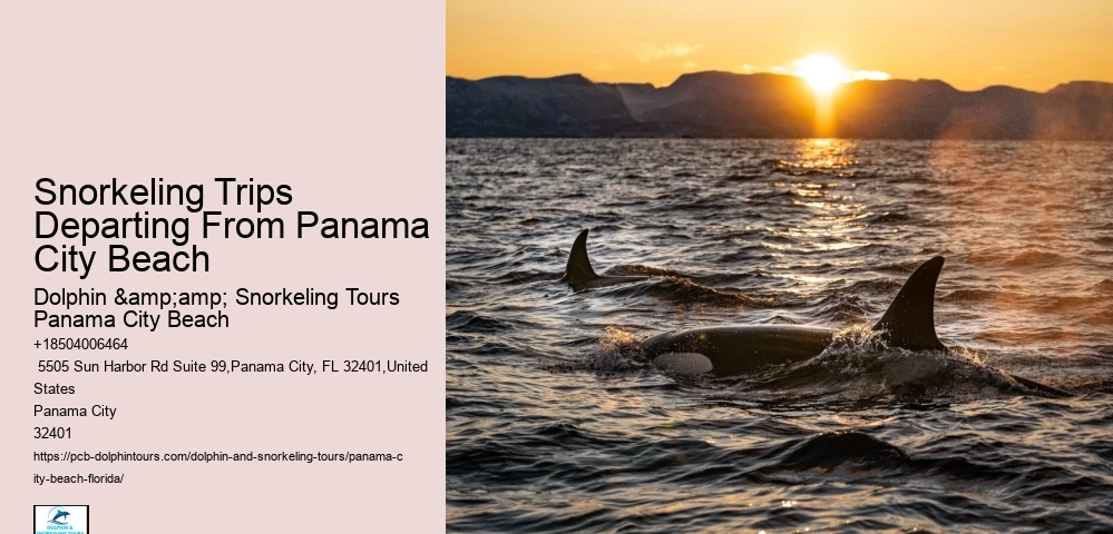 Panama City Beach Snorkeling Tours Jet Ski