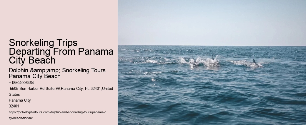 Panama City Beach Snorkel Discovery Tours
