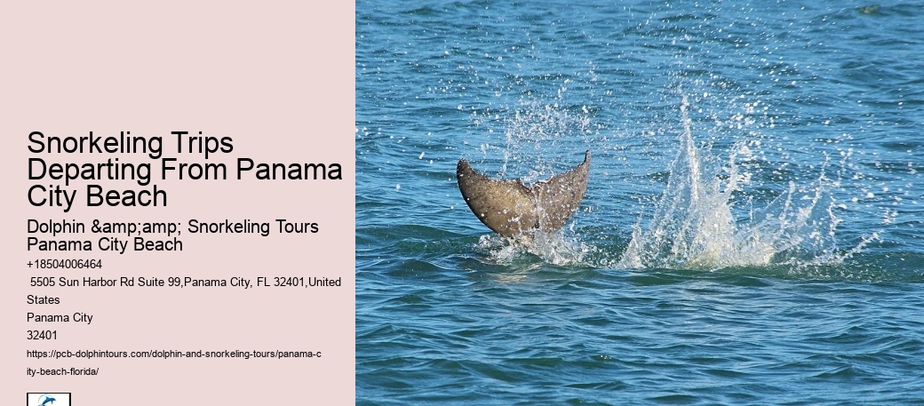 Snorkeling Tours